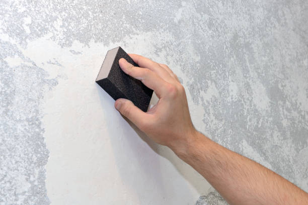 Best Mold Documentation for Insurance Claims  in Elk Creek, KY