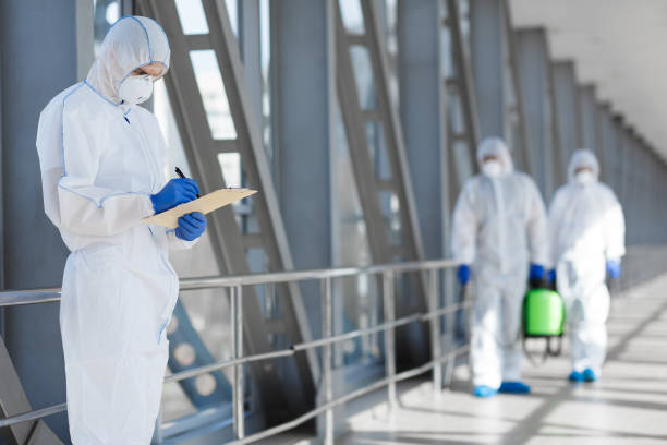 Best Mold Prevention Services  in Elk Creek, KY