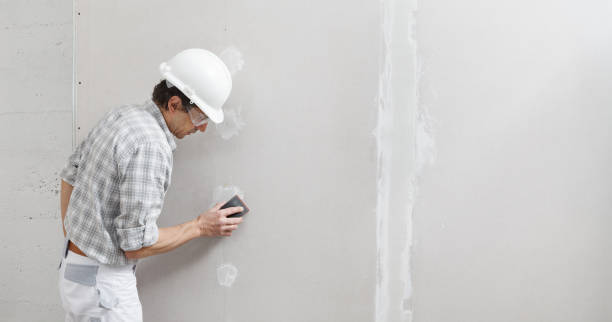 Best Mold Removal for HVAC Installations  in Elk Creek, KY