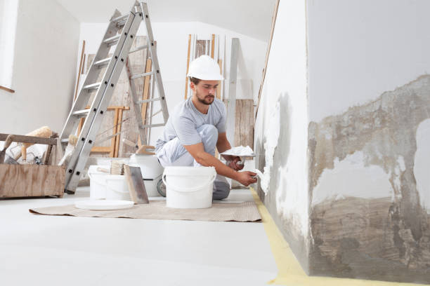 Best Industrial Mold Remediation  in Elk Creek, KY