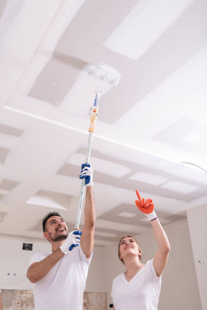 Best Mold Damage Restoration  in Elk Creek, KY