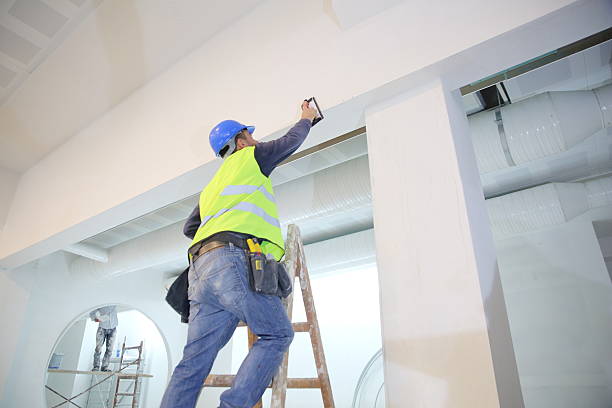 Best Water Damage & Mold Remediation  in Elk Creek, KY